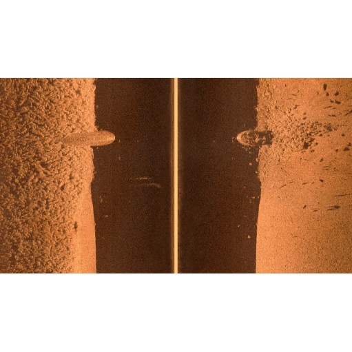 PRZETWORNIK GARMIN PANOPTIX LIVESCOPE