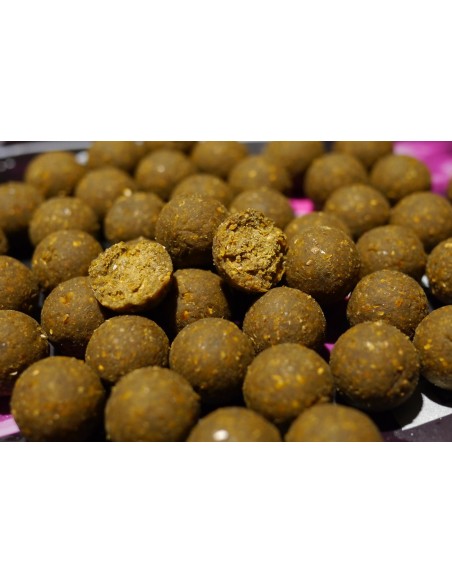 KULKI ZANĘTOWE WARMUZ WARM SECRET 900g 16mm - 2