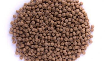 Pellet Skretting